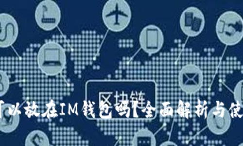 USDT可以放在IM钱包吗？全面解析与使用指南