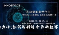 狗狗币钱包的大小：如何选择适合你的数字资产