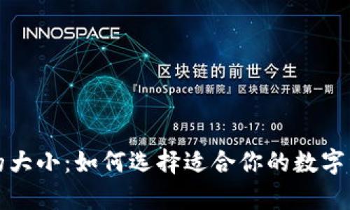 狗狗币钱包的大小：如何选择适合你的数字资产存储方案