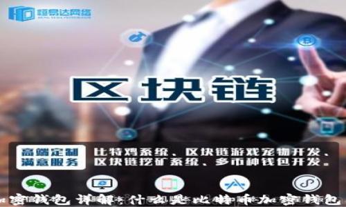 
比特币加密钱包详解：什么是比特币加密钱包及其功能