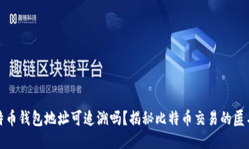 比特币钱包地址可追溯吗？揭秘比特币交易的匿名性