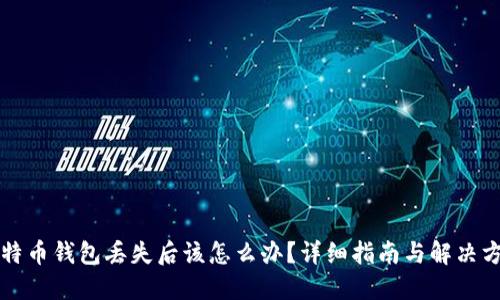 比特币钱包丢失后该怎么办？详细指南与解决方案