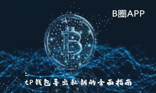 :
tP钱包导出私钥的全面指南