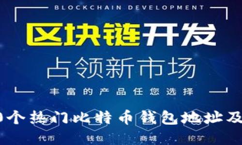 如何查询10个热门比特币钱包地址及其使用方法