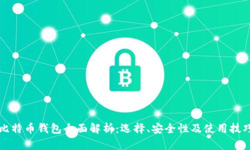 比特币钱包全面解析：选择、安全性及使用技巧