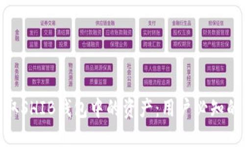如何安全提取SHIB钱包中的资产：用户必知的要点和步骤