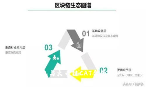 如何使用TP钱包与火币链CAT合约实现安全交易