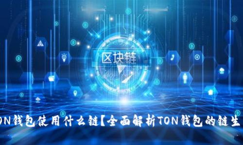 TON钱包使用什么链？全面解析TON钱包的链生态