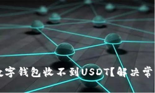 为什么我的数字钱包收不到USDT？解决常见问题的方法