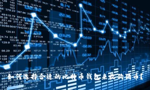 如何选择合适的比特币钱包来收狗狗币？