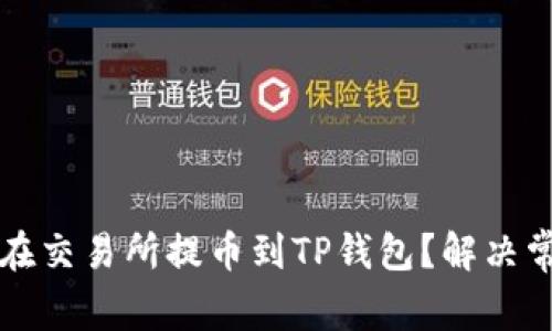 如何安全地在交易所提币到TP钱包？解决常见问题指南