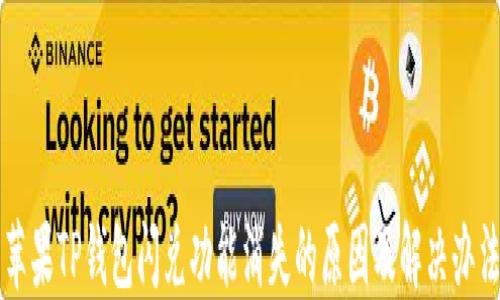 
苹果TP钱包闪兑功能消失的原因及解决办法