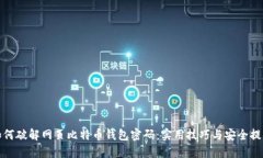 如何破解网页比特币钱包密码：实用技巧与安全