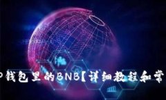 怎么找到TP钱包里的BNB？详细教程和常见问题解答