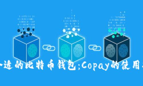 如何选择合适的比特币钱包：Copay的使用指南与推荐