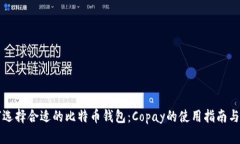 如何选择合适的比特币钱包：Copay的使用指南与推