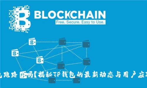 TP钱包跑路了吗？揭秘TP钱包的最新动态与用户应对策略