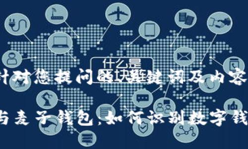 下面是针对您提问的、关键词及内容大纲。

TP钱包与麦子钱包：如何识别数字钱包风险？