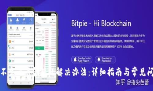 TP钱包不显示币金额的解决办法：详细指南与常见问题解答