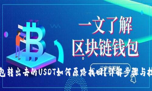 钱包转出去的USDT如何原路找回？详解步骤与技巧