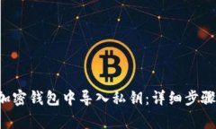 如何在LTC加密钱包中导入私钥：详细步骤与注意