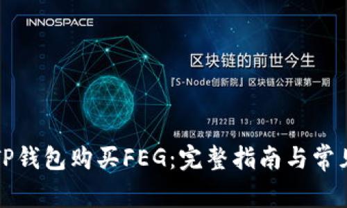 如何通过TP钱包购买FEG：完整指南与常见问题解析