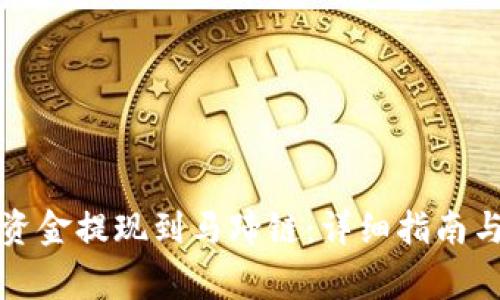 TP钱包如何将资金提现到马蹄链：详细指南与常见问题解答