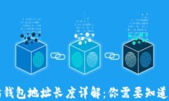 以太坊钱包地址长度详解：你需要知道的一切