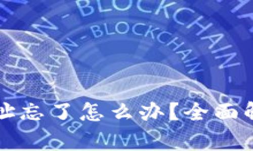 比特币钱包地址忘了怎么办？全面解析与解决方案