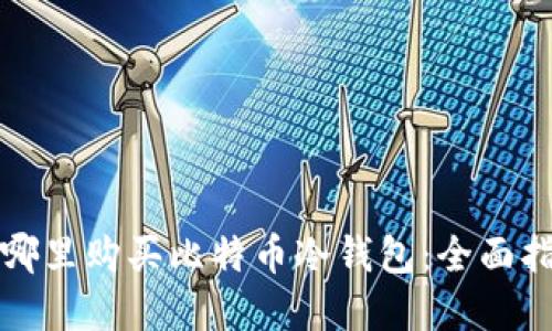 在哪里购买比特币冷钱包：全面指南